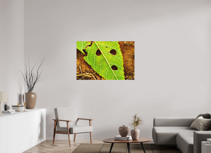 45 x 30″, Matte Metal Flabbergasted