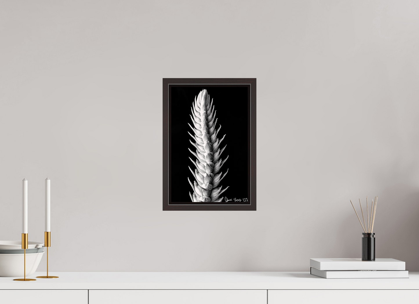 8 x 12″, Floater Frame Alder Brown Vertebrae