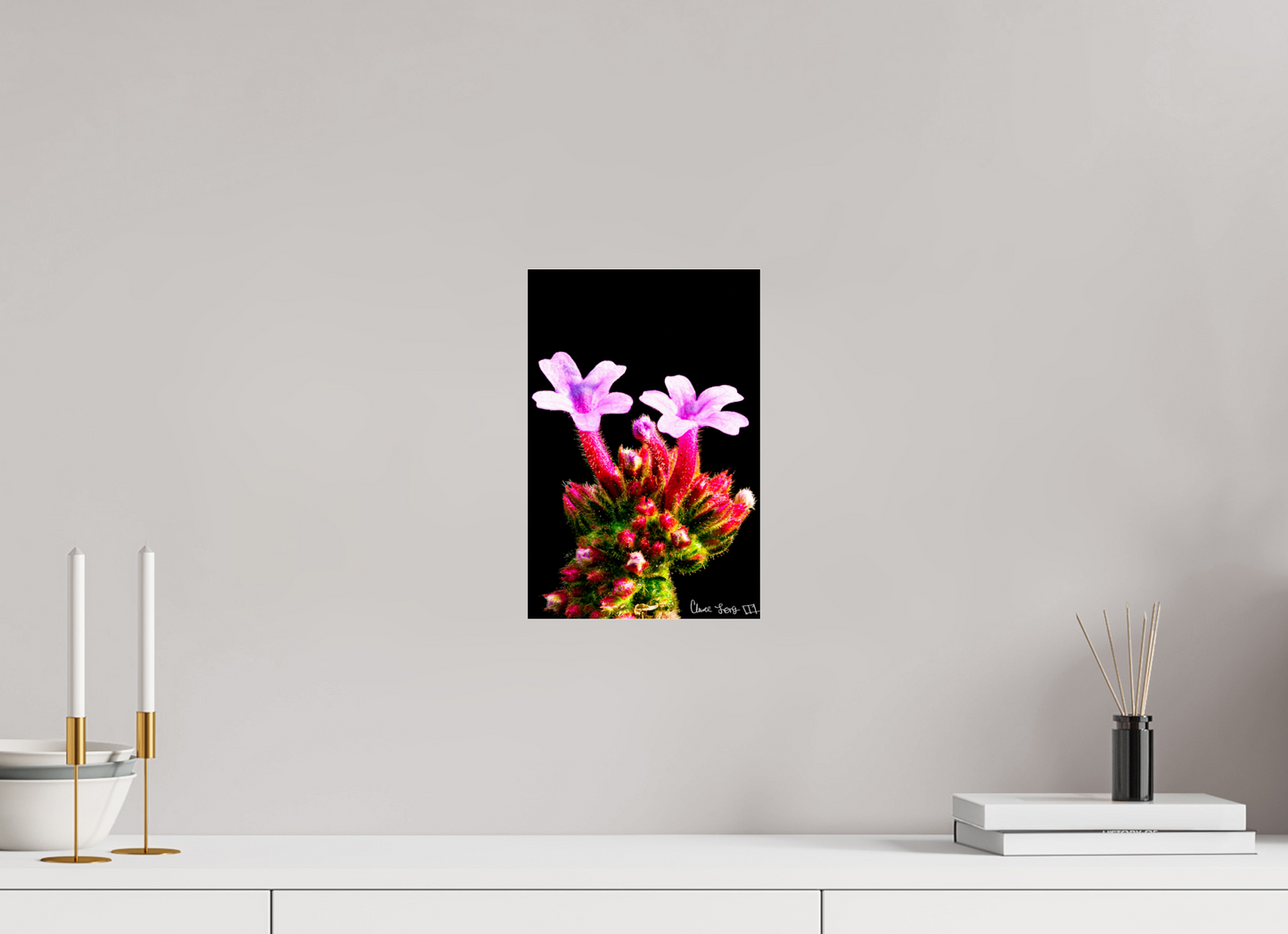 8 x 12″, Acrylic Verbena Bonariensis Pair