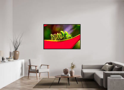 60 x 40″, Floater Frame Black Oak Utopia