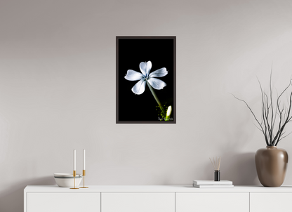 16 x 24″, Floater Frame Alder Brown Silver Petals