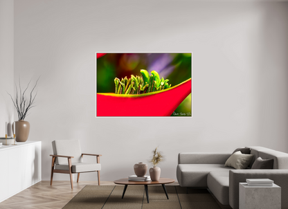 66 x 44″, Floater Frame Maple White Utopia