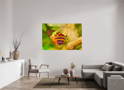 66 x 44″, Photo Print on Aluminum Backing Flamboyance