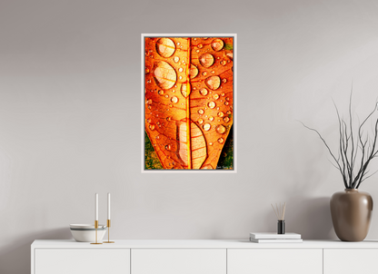 20 x 30″, Floater Frame Maple White Transparency