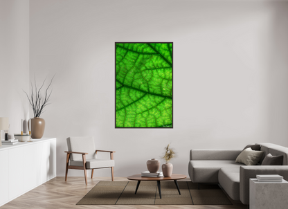 40 x 60″, Floater Frame Alder Brown Rivers & Streams