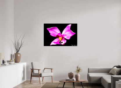 45 x 30″, Glossy Canvas Efflorescence