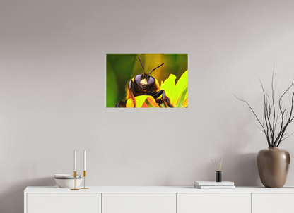 24 x 16″, Matte Metal The Curious Bumblebee