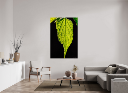 44 x 66″, Glossy Metal Eternal Glow