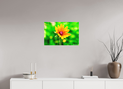 24 x 16″, Matte Canvas Stillness in the Blur