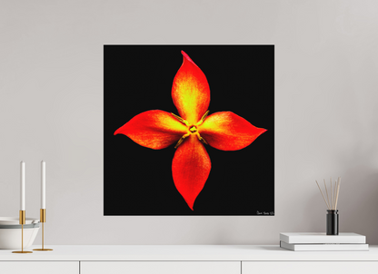 20 x 20″, Forex Blazing Compass