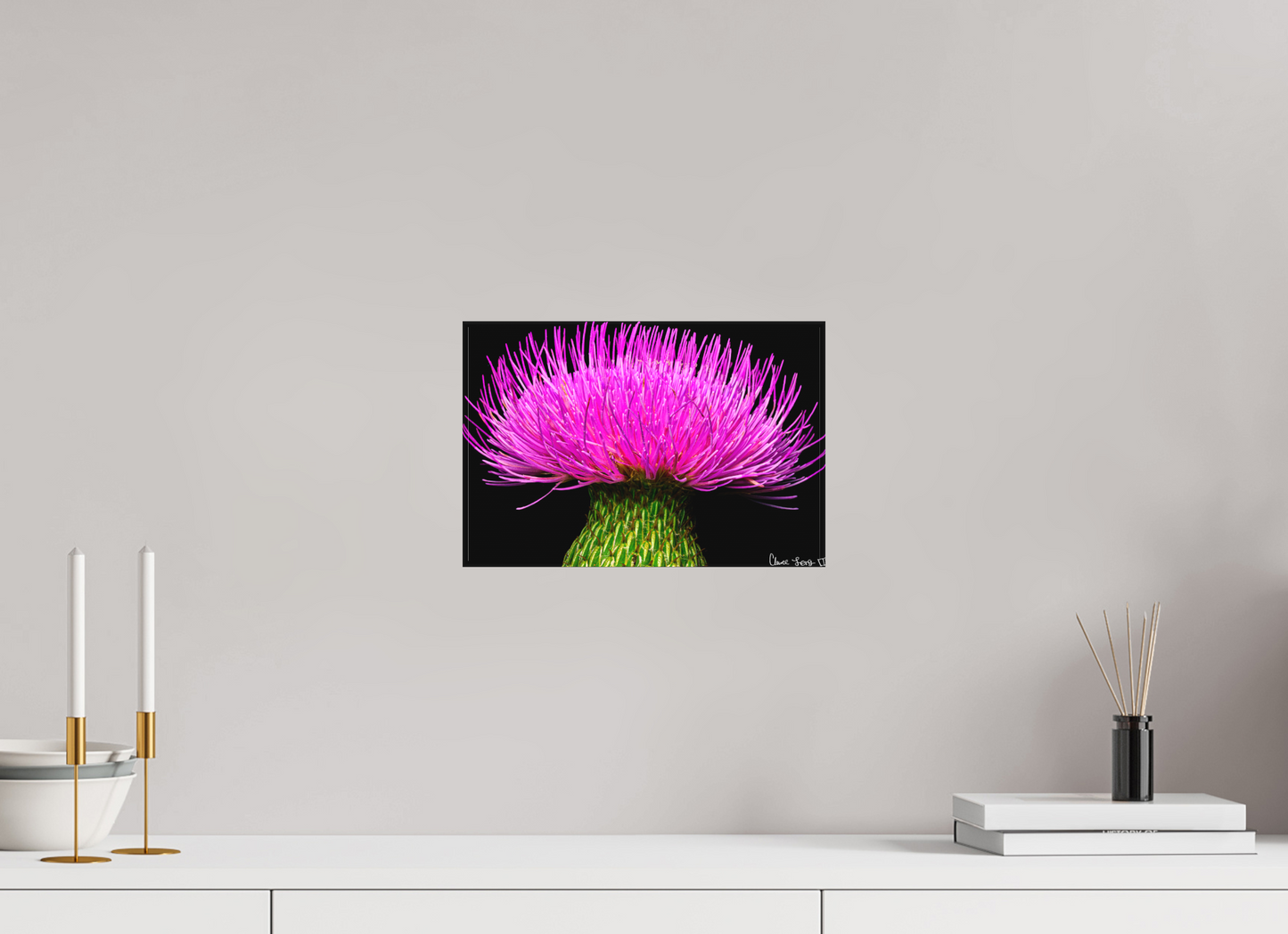 12 x 8″, Matte Canvas Silybum