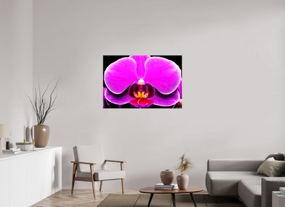 45 x 30″, Glossy Canvas Magnificence