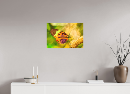 24 x 16″, Matte Canvas Flamboyance