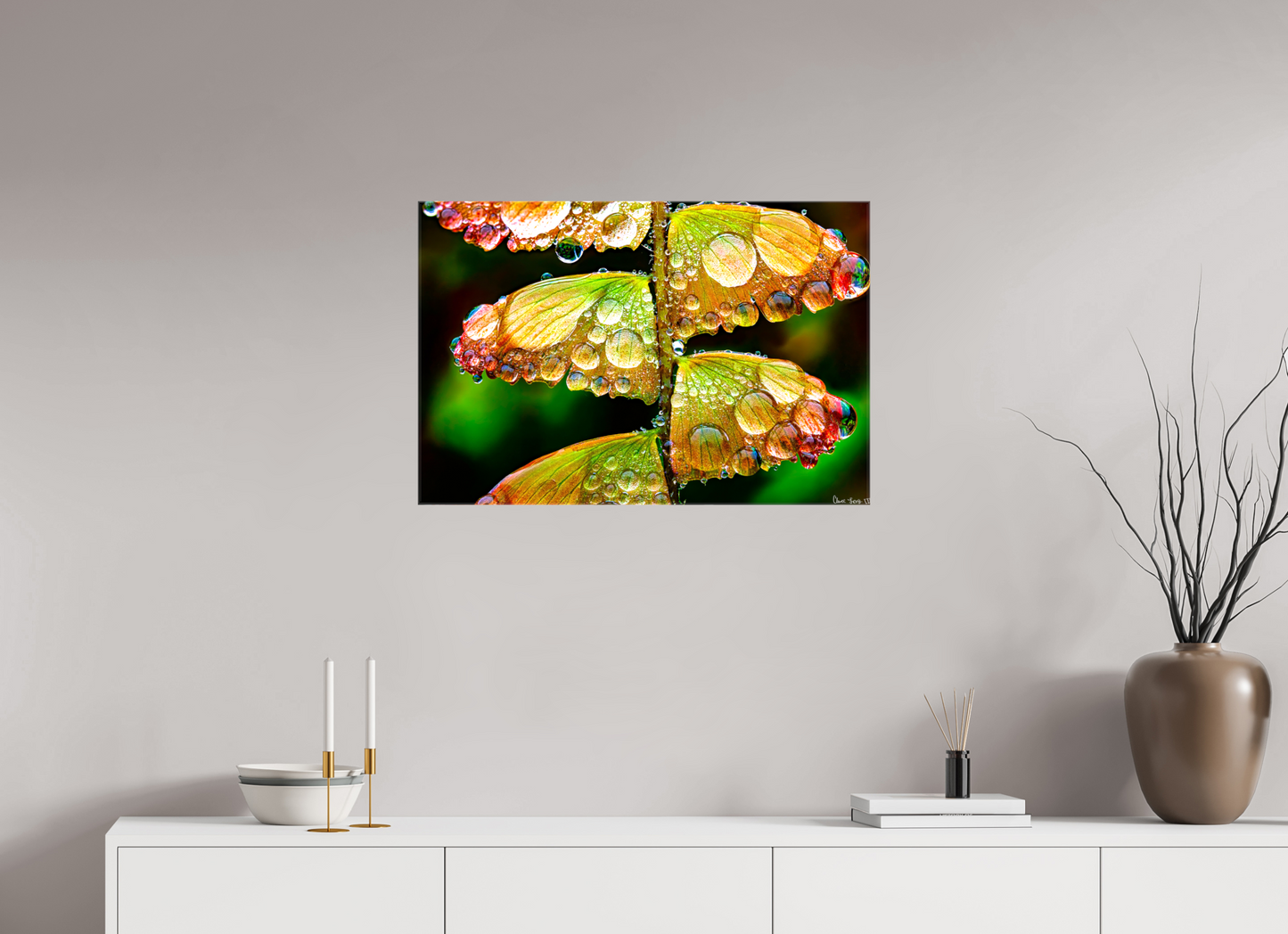 30 x 20″, Glossy Canvas Monarch’s Abundance