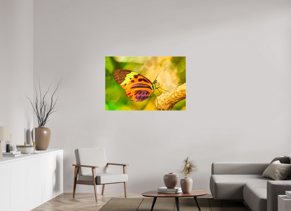 45 x 30″, Glossy Canvas Flamboyance