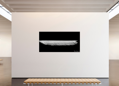 86 x 43″, Floater Frame Maple White Frayed Precision