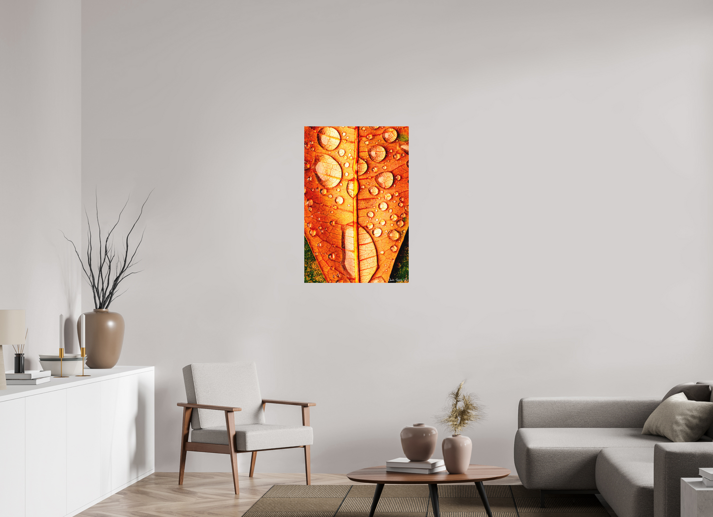24 x 36″, Matte Metal Transparency