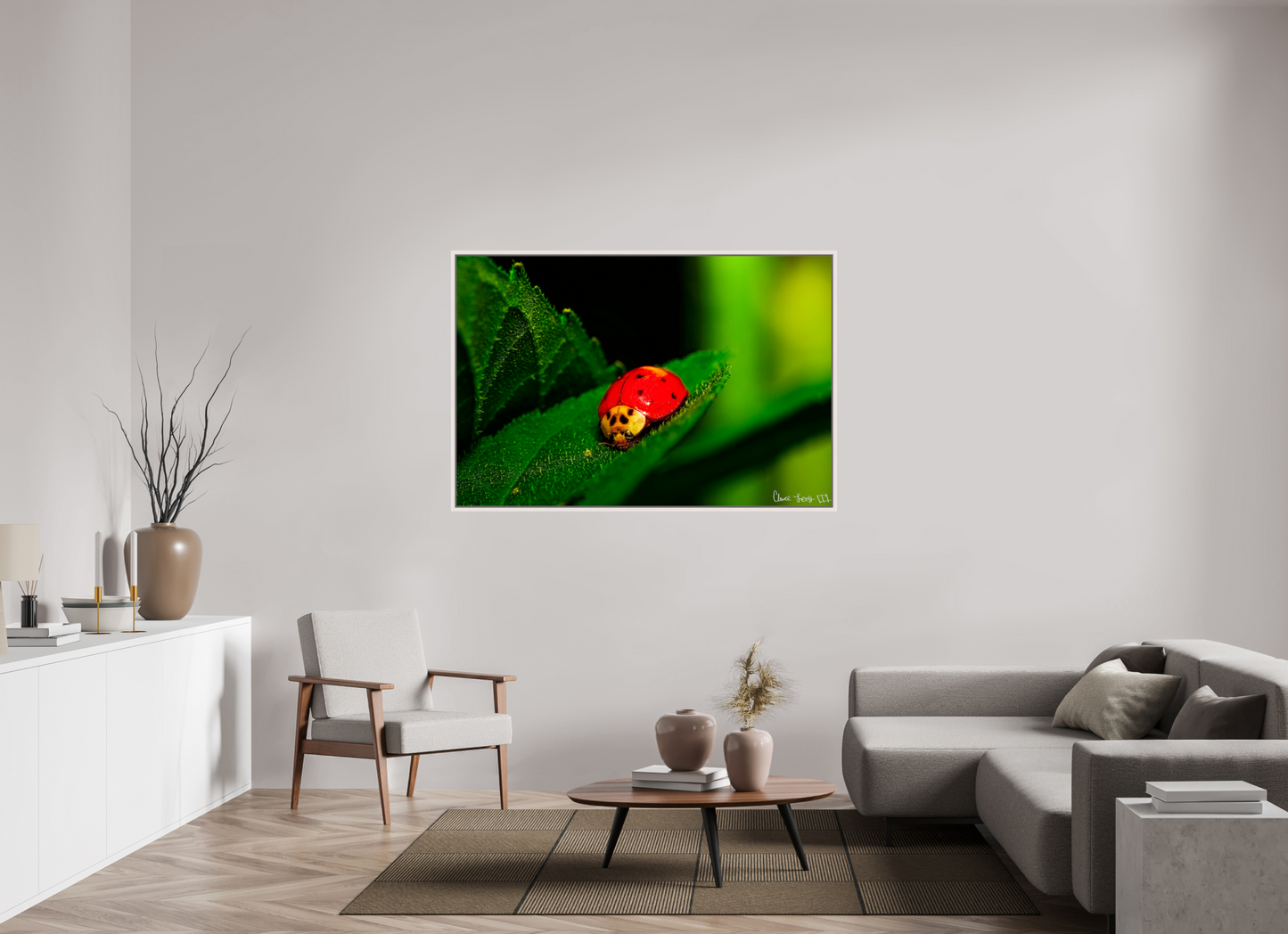 60 x 40″, Floater Frame Maple White Our Lady Bird