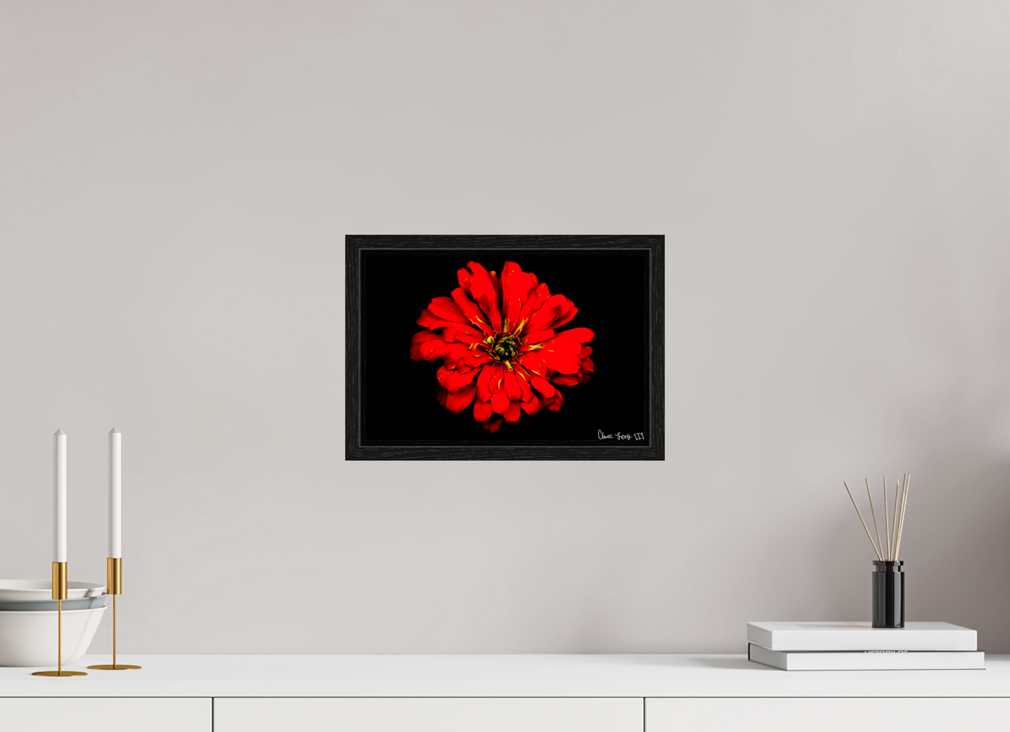 12 x 8″, Floater Frame Black Oak Zinnia of Fire