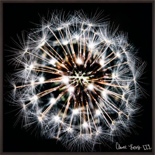 Main image Starburst