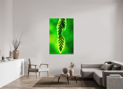 40 x 60″, Matte Canvas Harmonic Trinity