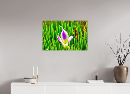 30 x 20″, Matte Metal Maverick