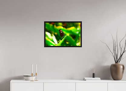 24 x 16″, Floater Frame Black Oak Time Stands Still