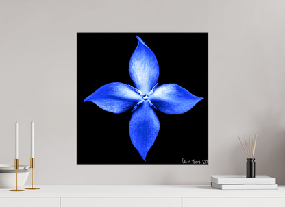 20 x 20″, Glossy Canvas Halcyon Compass