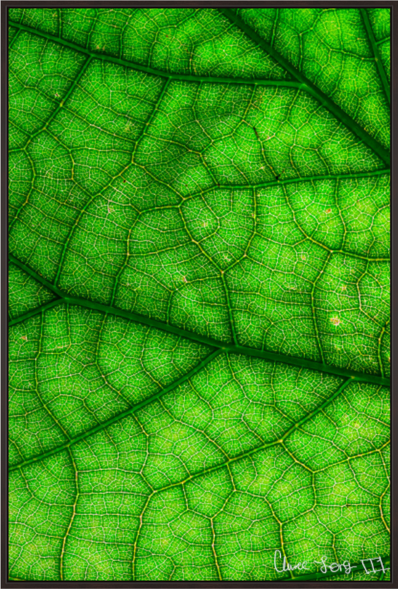 Main image River & Streams