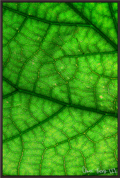 Main image River & Streams