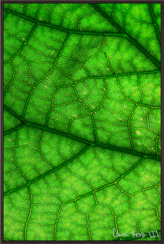 Main image River & Streams