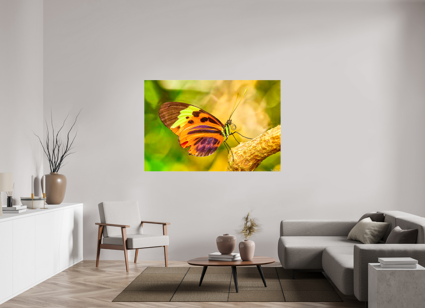 66 x 44″, Glossy Canvas Flamboyance