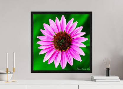 20 x 20″, Floater Frame Black Oak Icosidigon