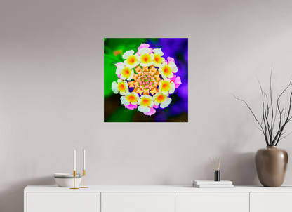 25 x 25″, Photo Print on Aluminum Backing Quintessence