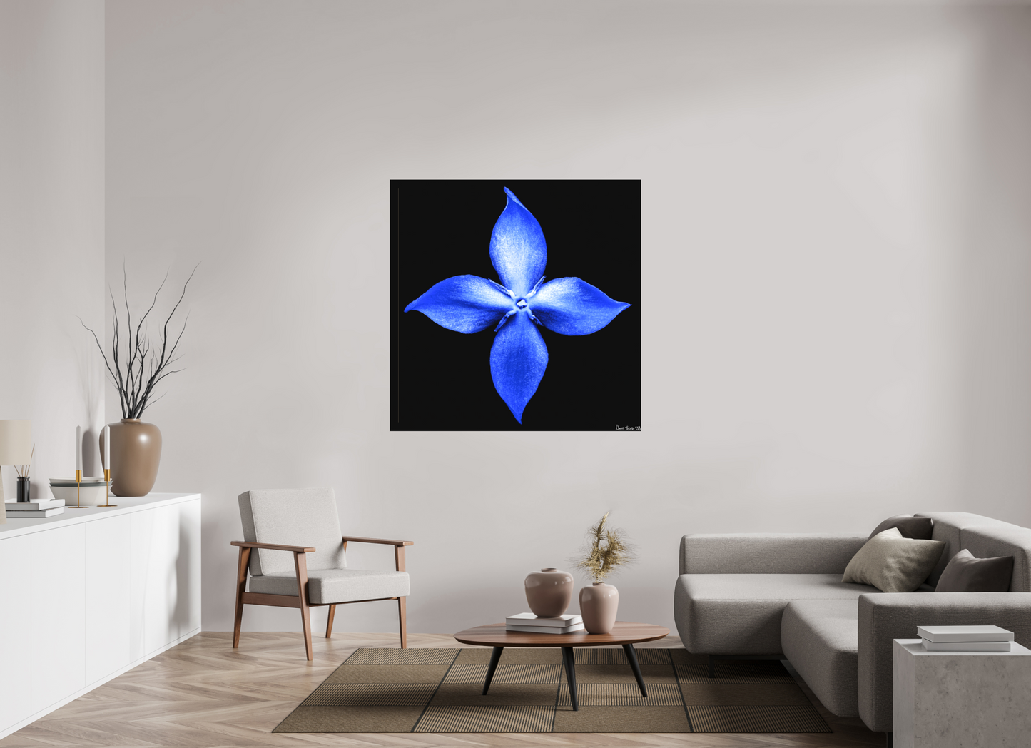 50 x 50″, Matte Canvas Halcyon Compass