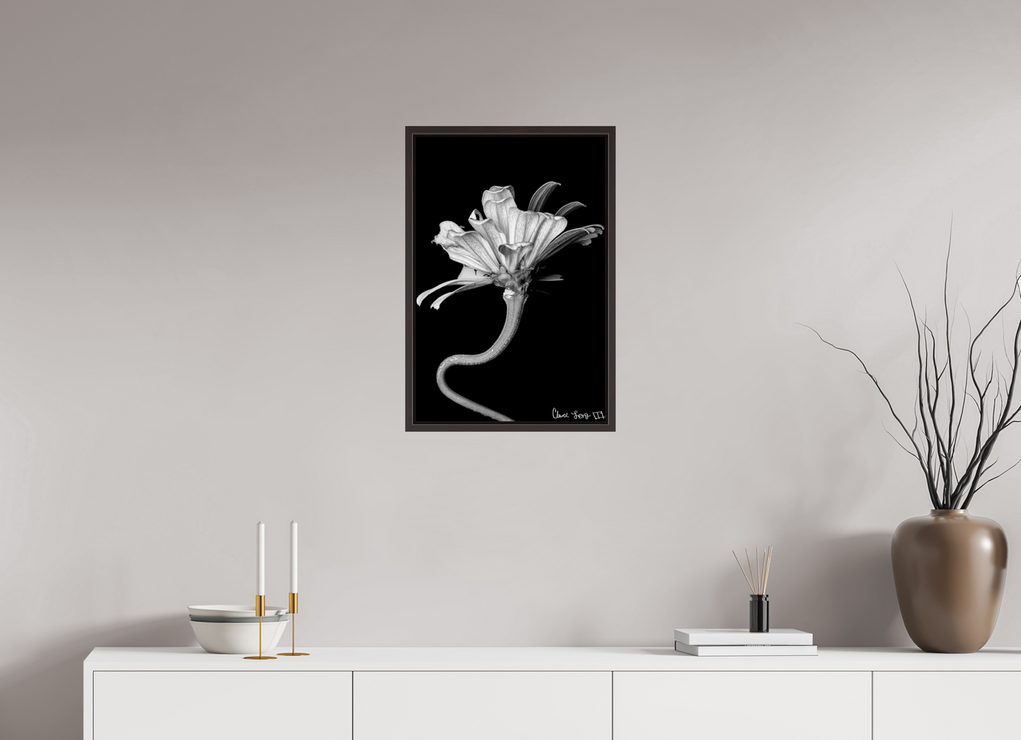 16 x 24″, Floater Frame Alder Brown Kingsnake’s Florescence