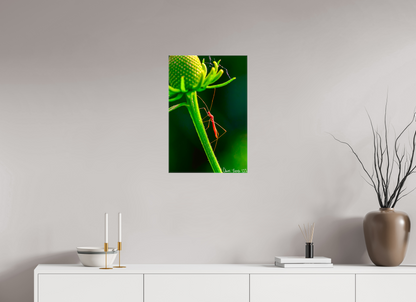 16 x 24″, Glossy Canvas Reaching the Apex