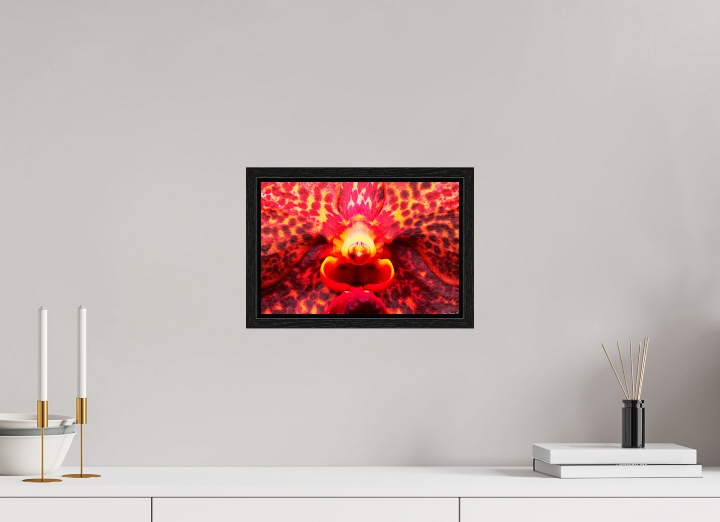 12 x 8″, Floater Frame Black Oak Orchid’s Last Stand in the Inferno