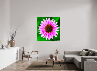 50 x 50″, Glossy Canvas Icosidigon