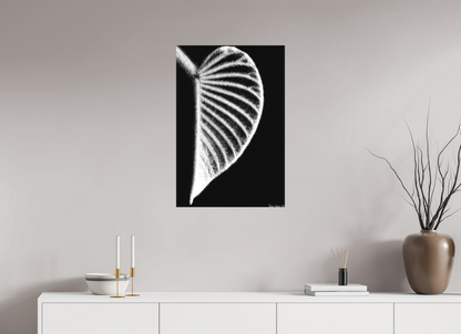 20 x 30″, Matte Canvas Onyx Organ