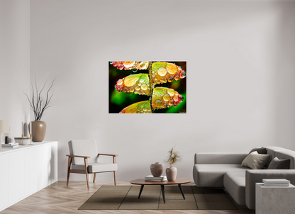 54 x 36″, Glossy Canvas Monarch’s Abundance