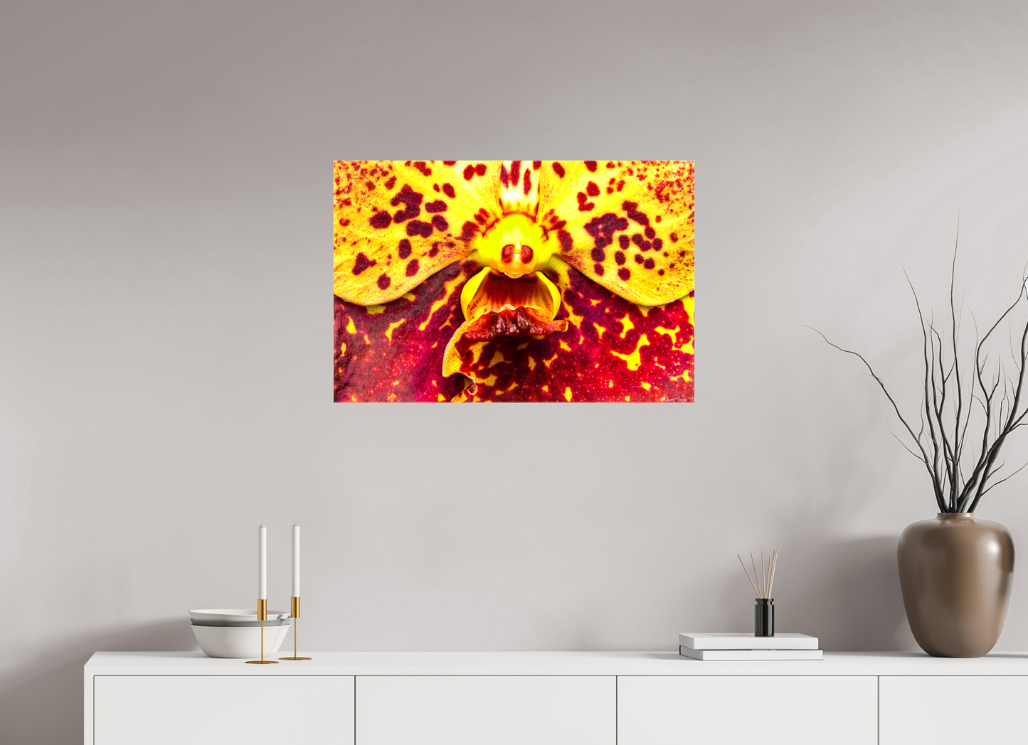 30 x 20″, Glossy Canvas The Flying Thing