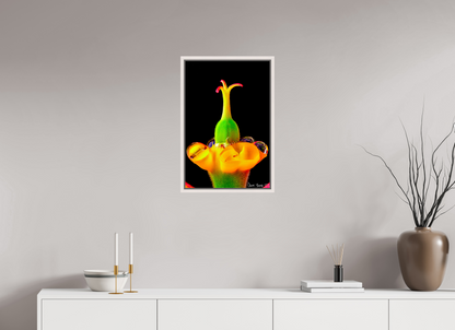 16 x 24″, Floater Frame Maple White Bubble Fountain