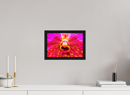 12 x 8″, Floater Frame Black Oak Tie Dye Orchid