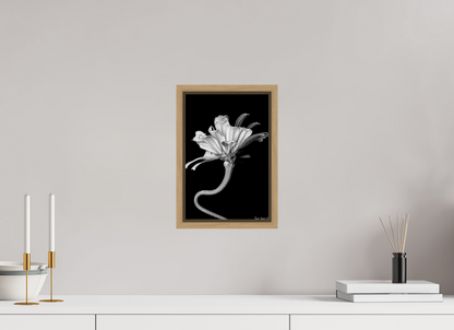 8 x 12″, Floater Frame Natural Oak Kingsnake’s Florescence