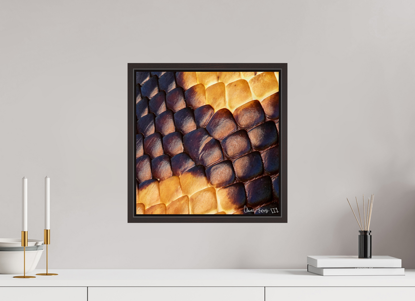 15 x 15″, Floater Frame Alder Brown Python’s Glow