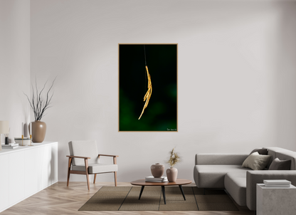 40 x 60″, Floater Frame Natural Oak Nature’s Tether