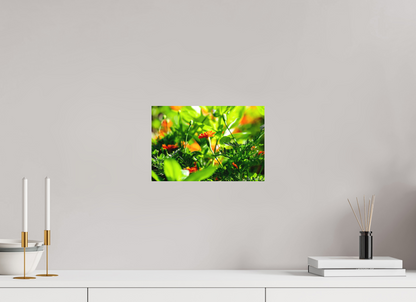 12 x 8″, Matte Metal Prominence