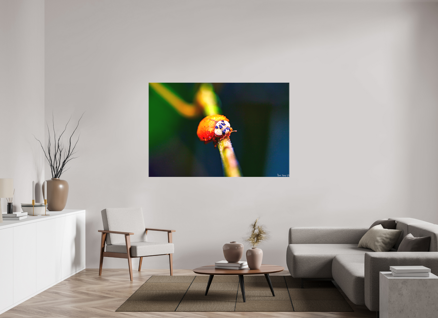 66 x 44″, Matte Canvas Dew-Kissed Ladybug