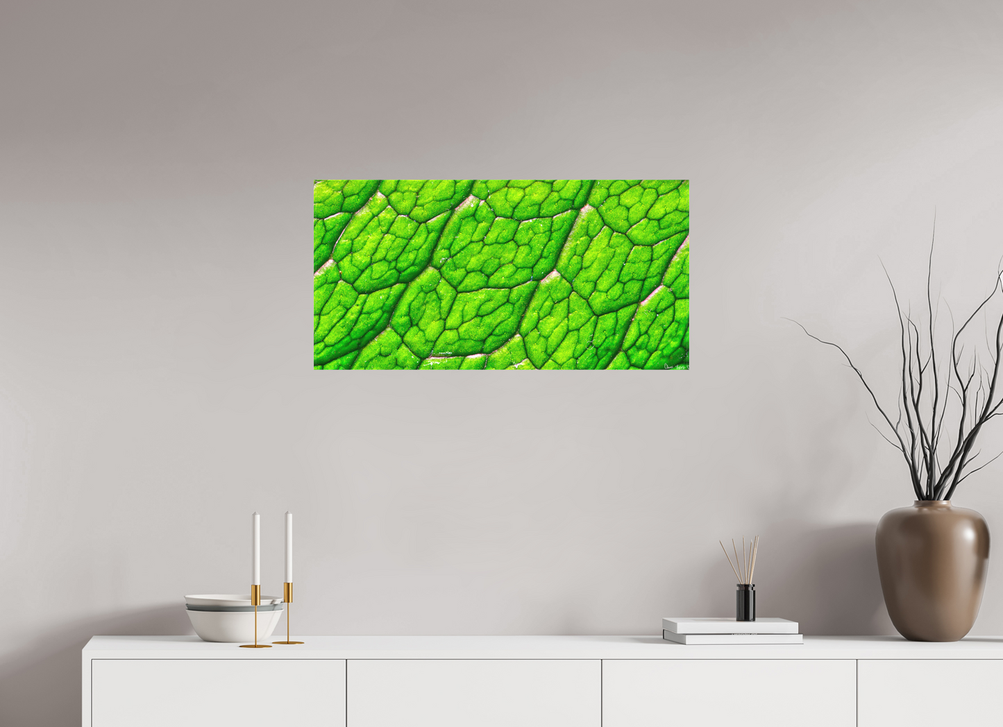 32 x 16″, Matte Canvas Uniformed Venation